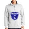 1/4 Zip Sweatshirt Thumbnail